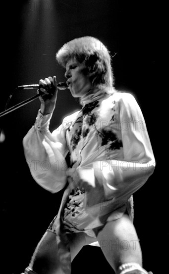 David Bowie