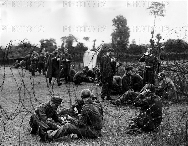 Prisonniers allemands en Normandie, en août 1944.