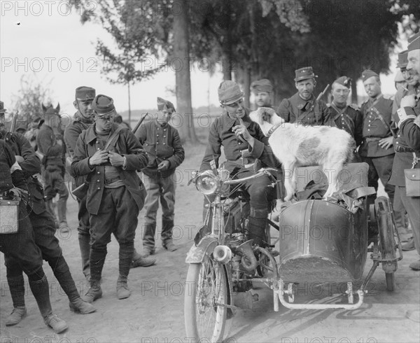 Première Guerre Mondiale