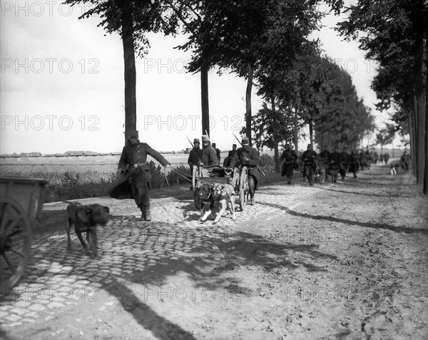 Première Guerre Mondiale