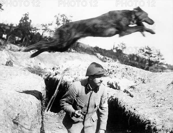 Première Guerre Mondiale