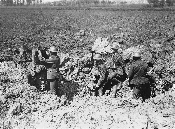 A messenger dog carrying orders arrives at a trench occupied by British soldiers World War One 1918