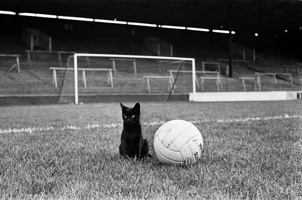 Charlton v Newcastle 1964