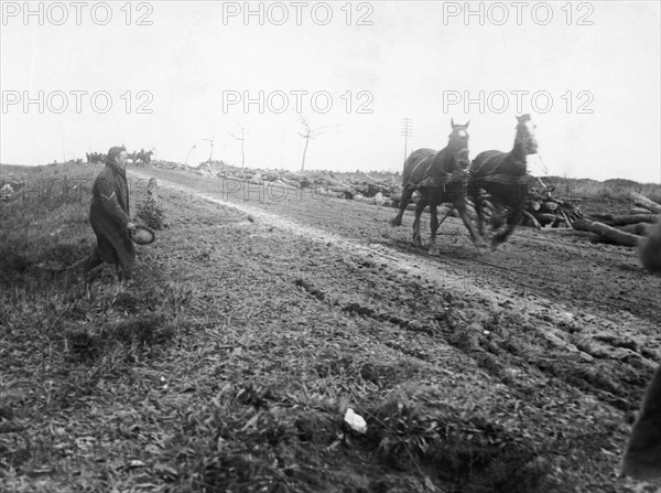 La bataille de la Somme, 1916