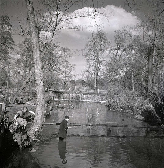 Places Hertfordshire Watford Grove Mill Mill stream