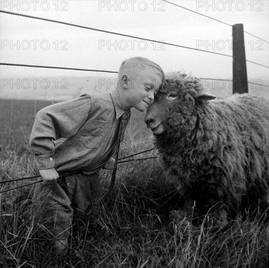 Journée à la campagne, 1949