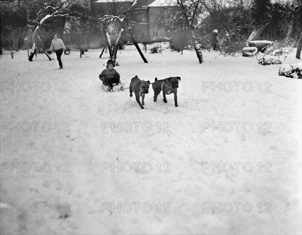 Big Freeze : Hiver 1962-1963 au Royaume-Uni