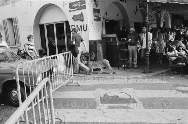 GV Saint-Tropez, France, Tuesday 17th June 1975, man with pet lion, scene about town. 

Saint-Tropez is a coastal town on the French Riviera, South Eastern France.