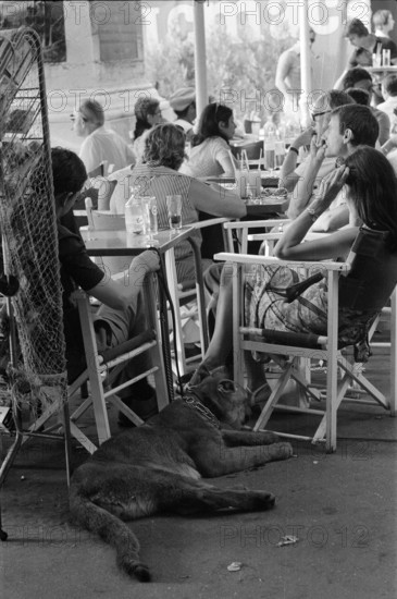 GV Saint-Tropez, France, Tuesday 17th June 1975, man with pet lion, scene about town. 

Saint-Tropez is a coastal town on the French Riviera, South Eastern France.