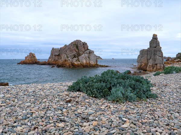 Along the hiking trail 34 in Brittany
