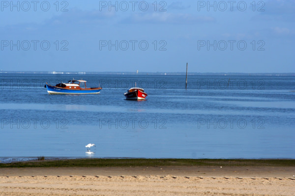 FRANCE, REGIONS, BASSIN D'ARCACHON