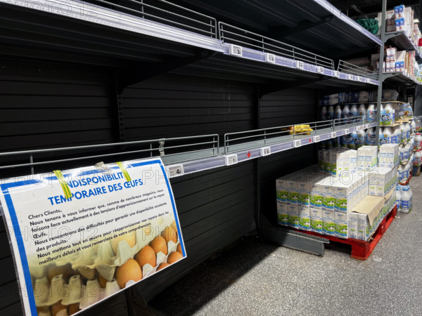 Pénurie d'oeufs dans les supermarchés français