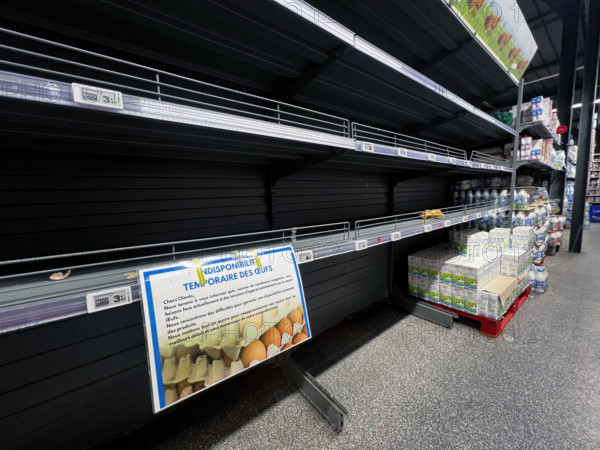 Pénurie d'oeufs dans les supermarchés français