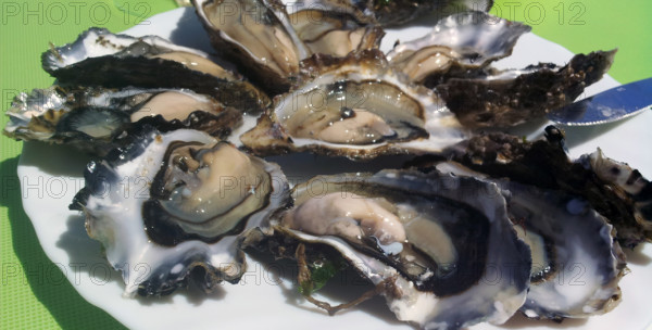 FRANCE REGIONS GIRONDE