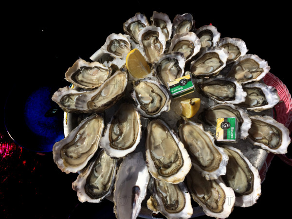 FRANCE REGIONS GIRONDE