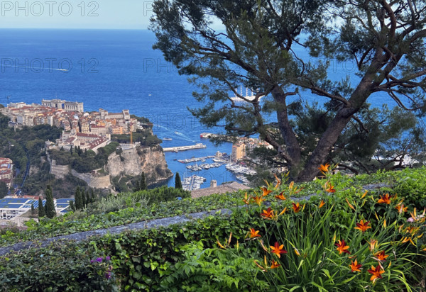 Baie de Monaco