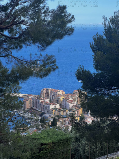 Baie de Monaco