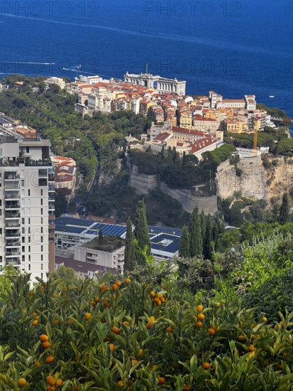 Baie de Monaco