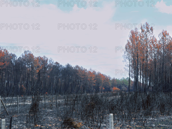 France - Gironde - Incendies été 2026