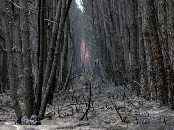 France - Gironde - Incendies été 2026
