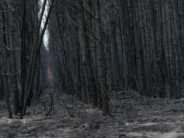 France - Gironde - Incendies été 2026