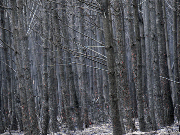 France - Gironde - Incendies été 2026