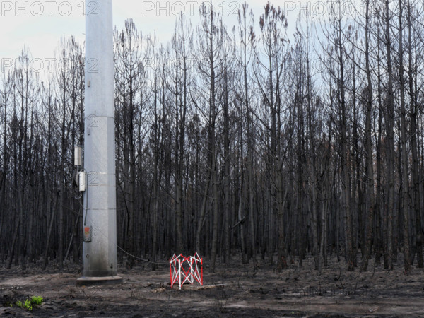 France - Gironde - Incendies été 2026