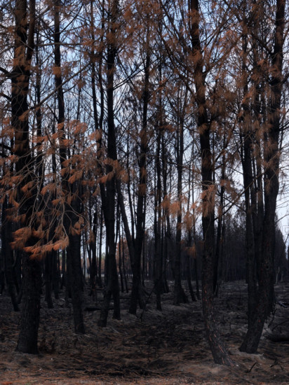 France - Gironde - Incendies été 2026