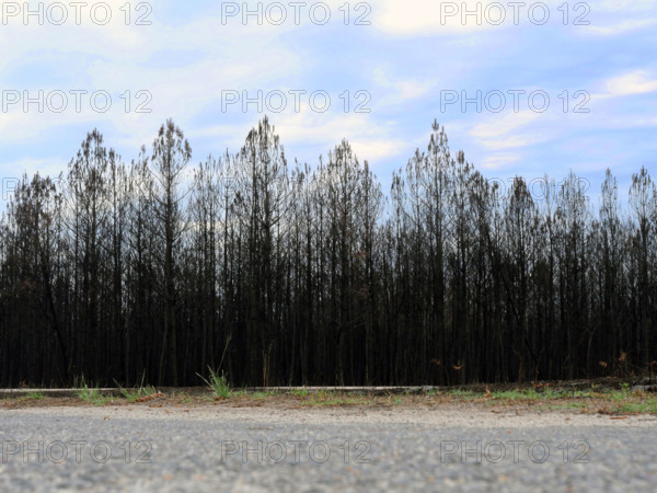 France - Gironde - Incendies été 2026