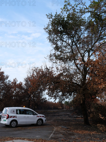 France - Gironde - Incendies été 2026