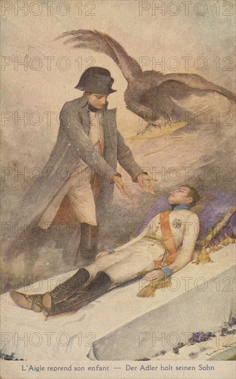 Allegory of Napoleon I.