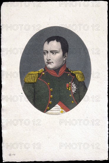 Portrait of Napoleon I.