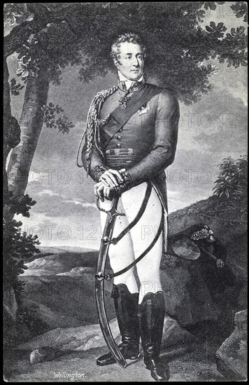 Portrait of General Wellington.