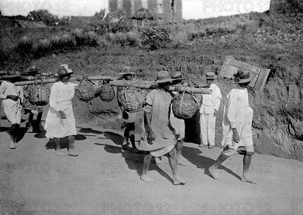 Porteurs de vins, Madagascar