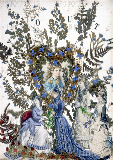 Herbier, illustration de la fin de la fin du XIXe siècle