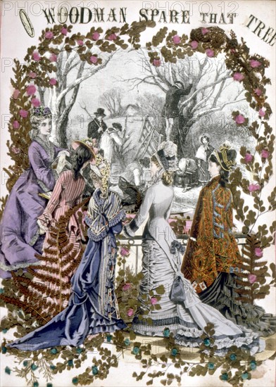 Herbier, illustration de la fin de la fin du XIXe siècle