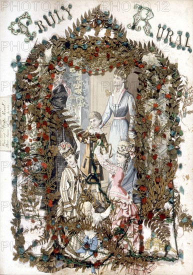 Herbier, illustration de la fin de la fin du XIXe siècle