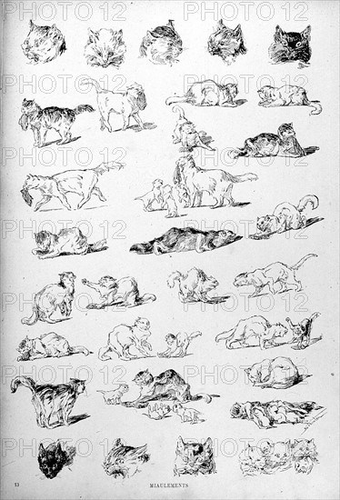 Chats, miaulements par Steinlen