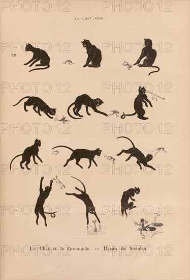Cats, the Cat and the Frog by Steinlen