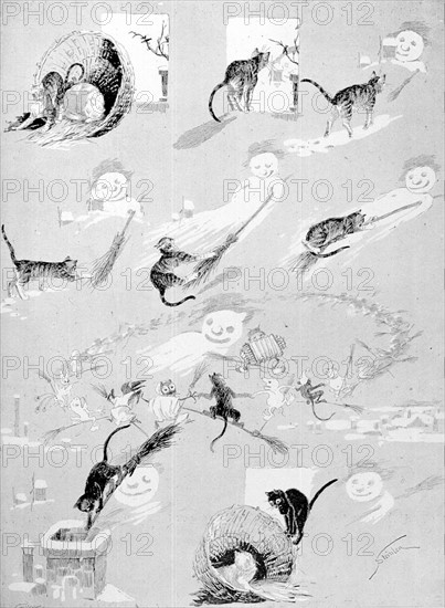 Cats, the Gray Cat and the White Wizard by Steinlen