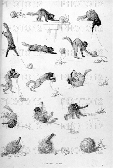 Chats, le peloton de fil par Steinlen