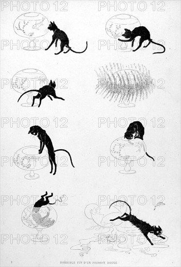 Chats, horrible fin d'un poisson rouge par Steinlen