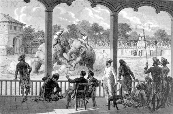 Combat d'éléphants à Baroda