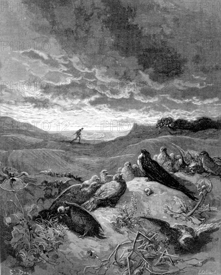 L'hirondelle et les petits oiseaux, fable de La Fontaine, illustration de Gustave Doré