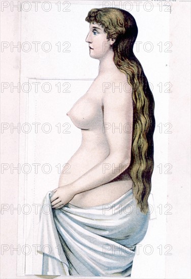 Corps humain, la femme, représentation de la fin du XIXe siècle