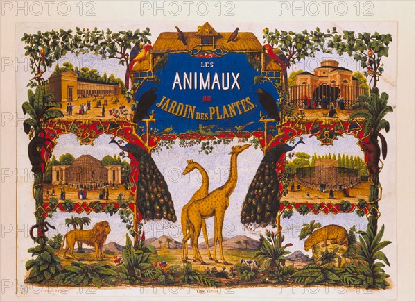 Animals of the Jardin des Plantes