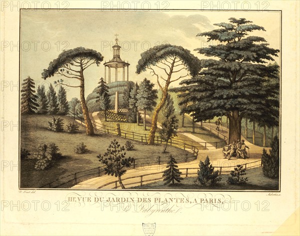 The labyrinth in the Jardin des Plantes