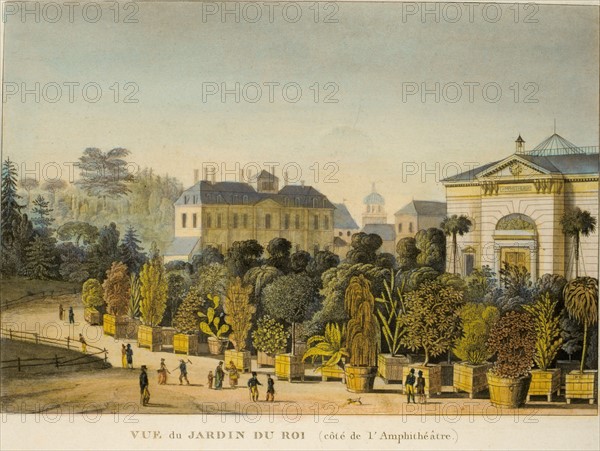 Le jardin des plantes, l'amphithéâtre