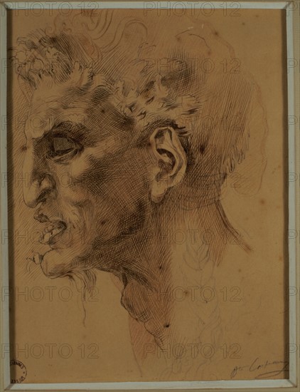 Faune's head by Michaealangelo, drawing by Carpeaux