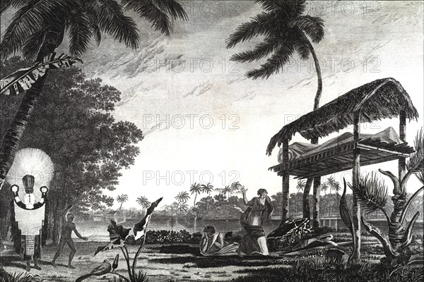 Voyage de James COOK, gravure de William Hodges